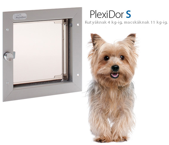 kutya ajtó