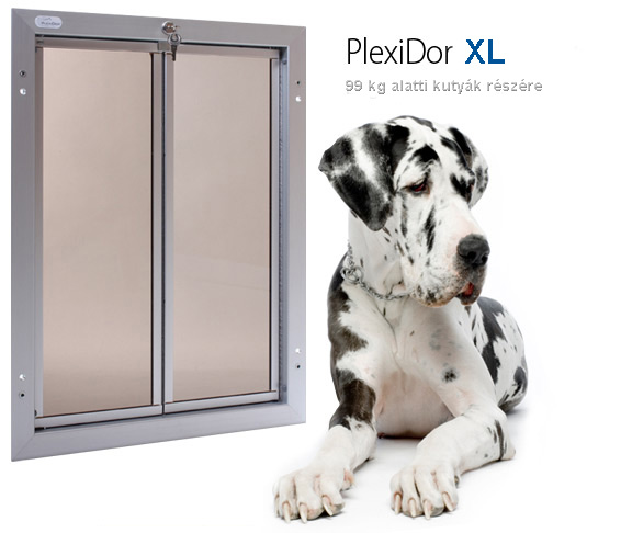 kutya ajtó